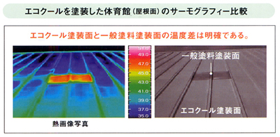 データで見る温度低減効果